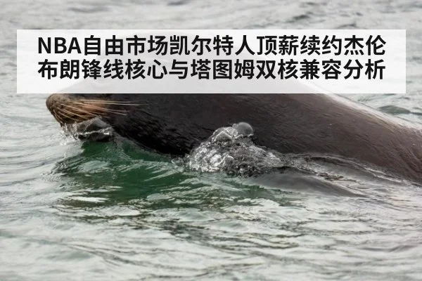 NBA自由市场凯尔特人顶薪续约杰伦布朗锋线核心与塔图姆双核兼容分析