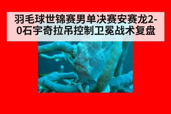 羽毛球世锦赛男单决赛安赛龙2-0石宇奇拉吊控制卫冕战术复盘